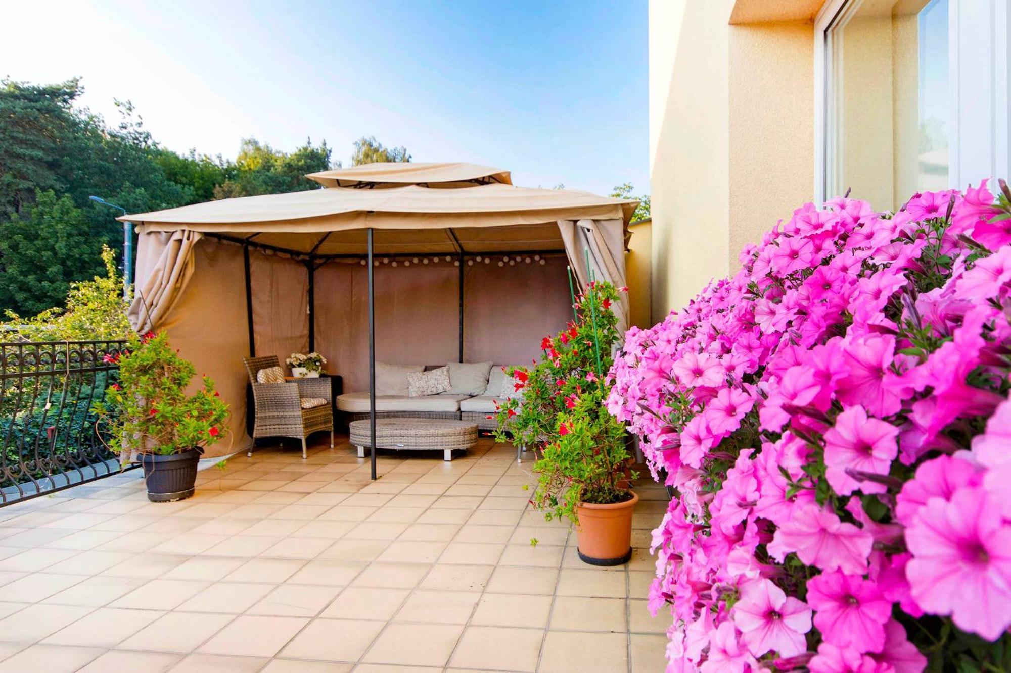 Dzika Plaza Alloggio in famiglia *