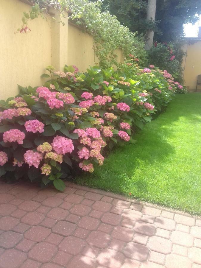 Dzika Plaza Alloggio in famiglia *